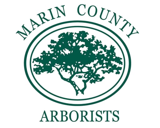 Marin County Arborists