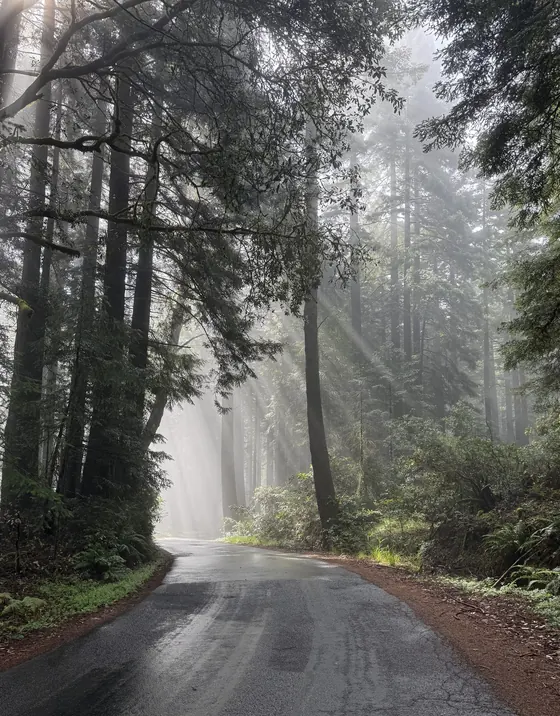 Mt Tamalpais
