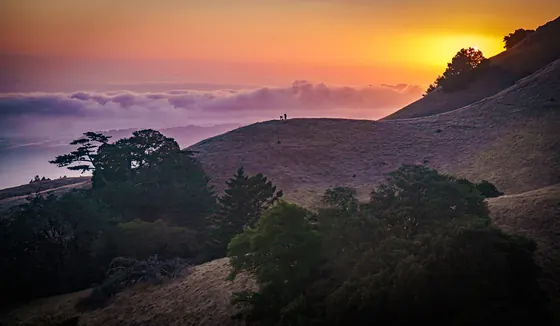 West shoulder, Mt. Tamalpais