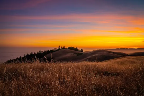 Evening on Bolinas Ridge